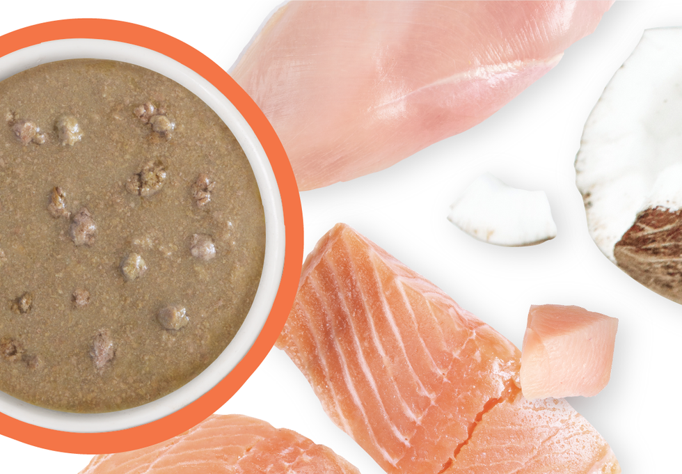 Food Bowl With Ingredients Used Scattered Around It
