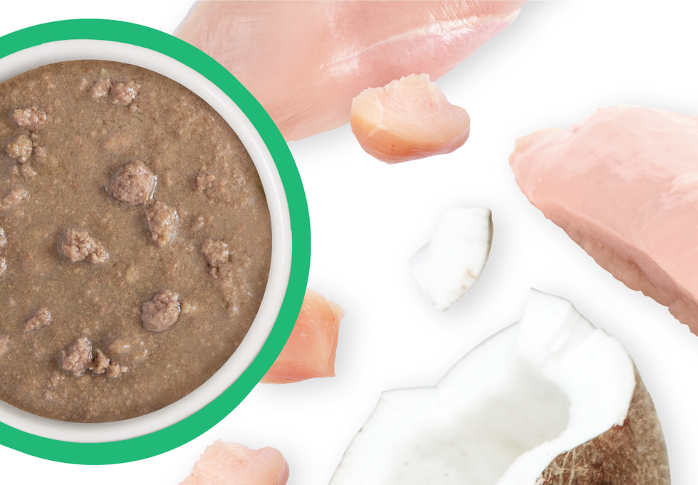 Food Bowl With Ingredients Used Scattered Around It