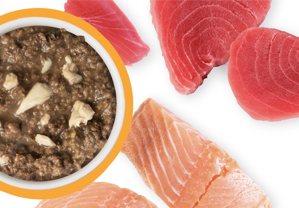 Food Bowl With Ingredients Used Scattered Around It