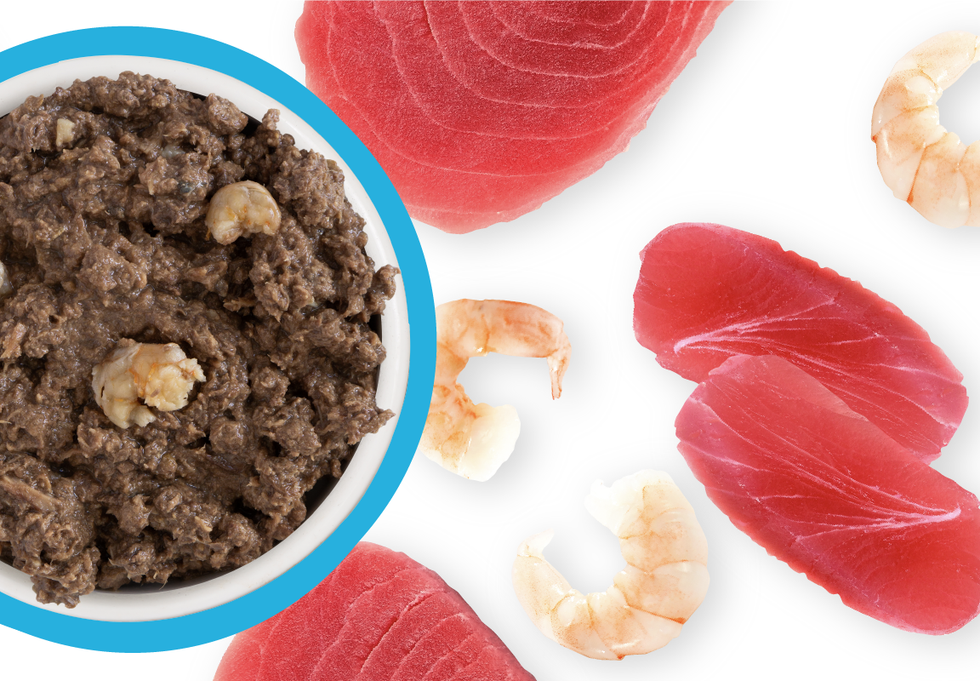 Food Bowl With Ingredients Used Scattered Around It