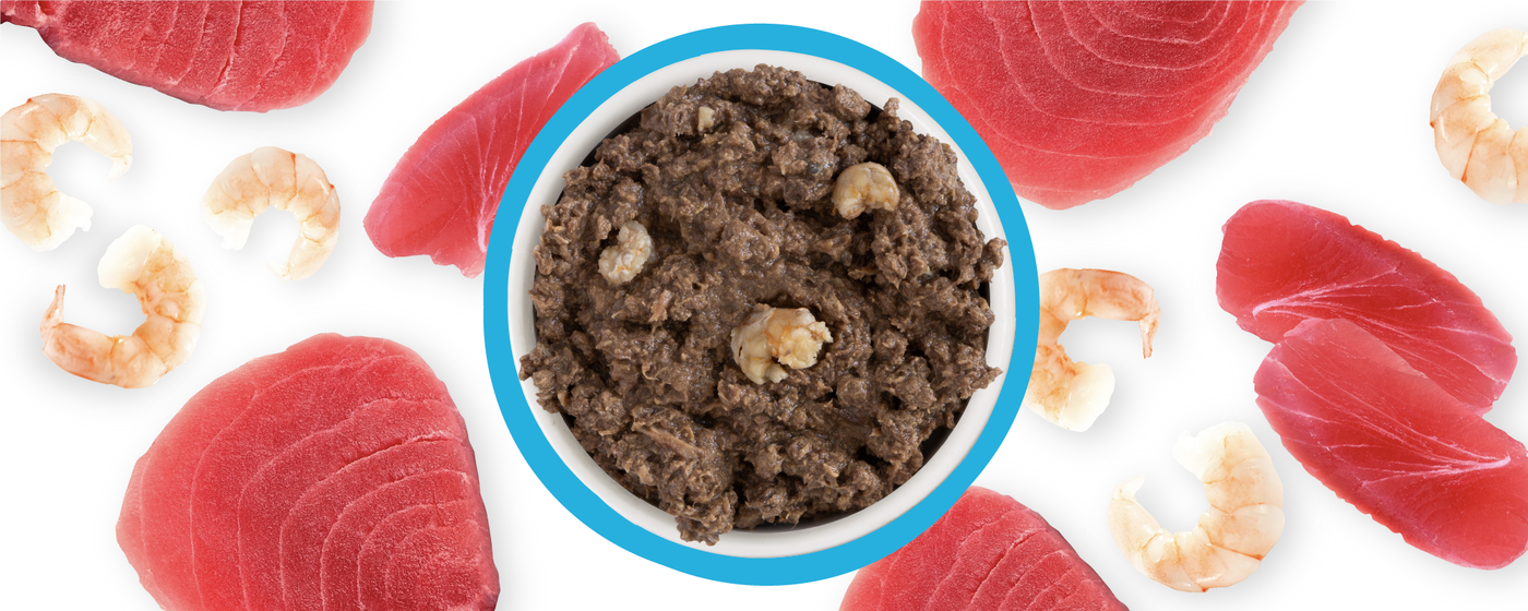 Food Bowl With Ingredients Used Scattered Around It