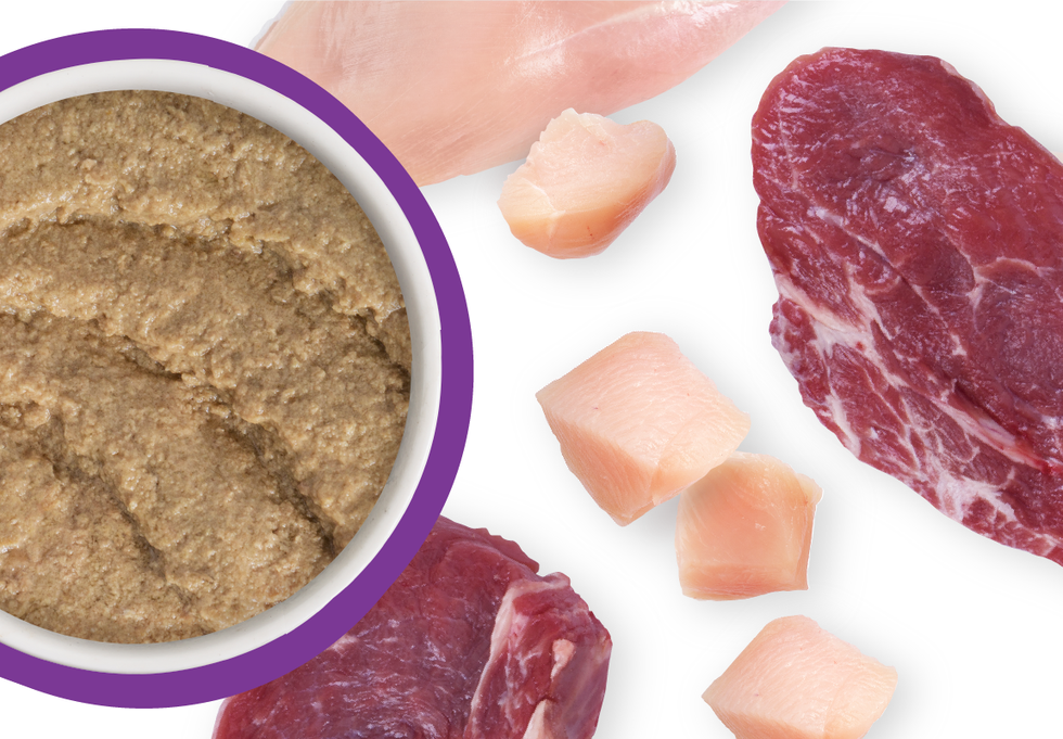 Food Bowl With Ingredients Used Scattered Around It