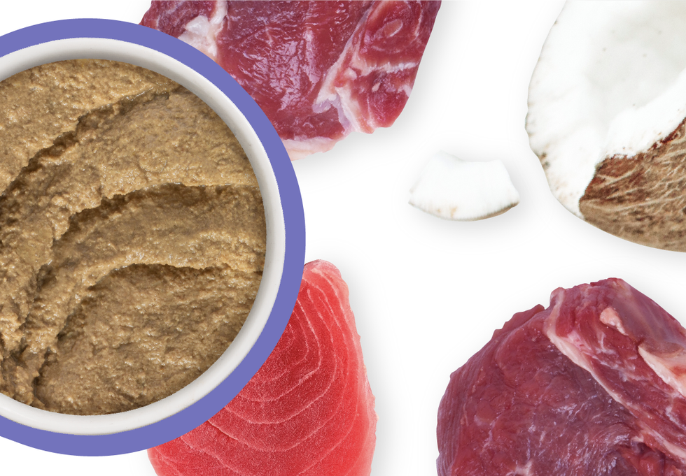 Food Bowl With Ingredients Used Scattered Around It