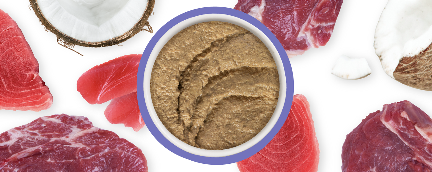 Food Bowl With Ingredients Used Scattered Around It