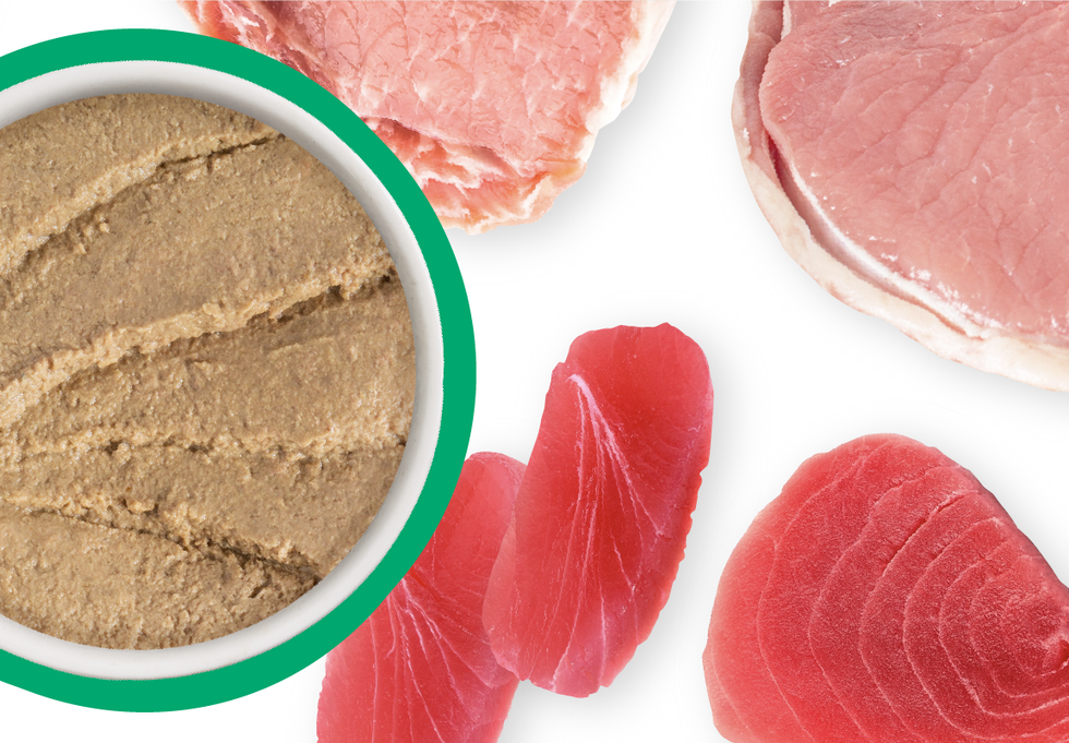 Food Bowl With Ingredients Used Scattered Around It