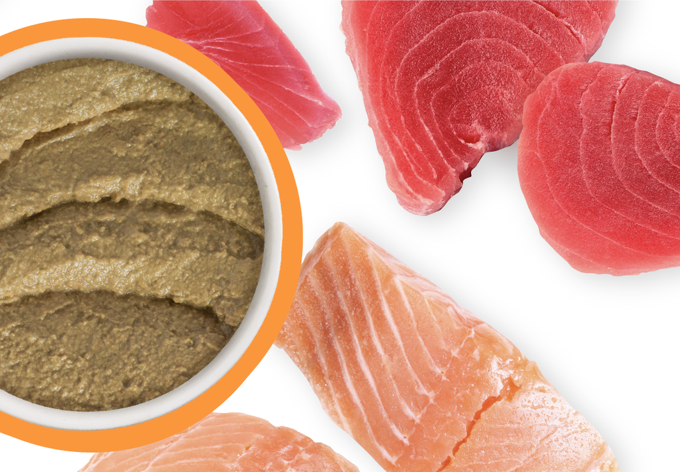 Food Bowl With Ingredients Used Scattered Around It
