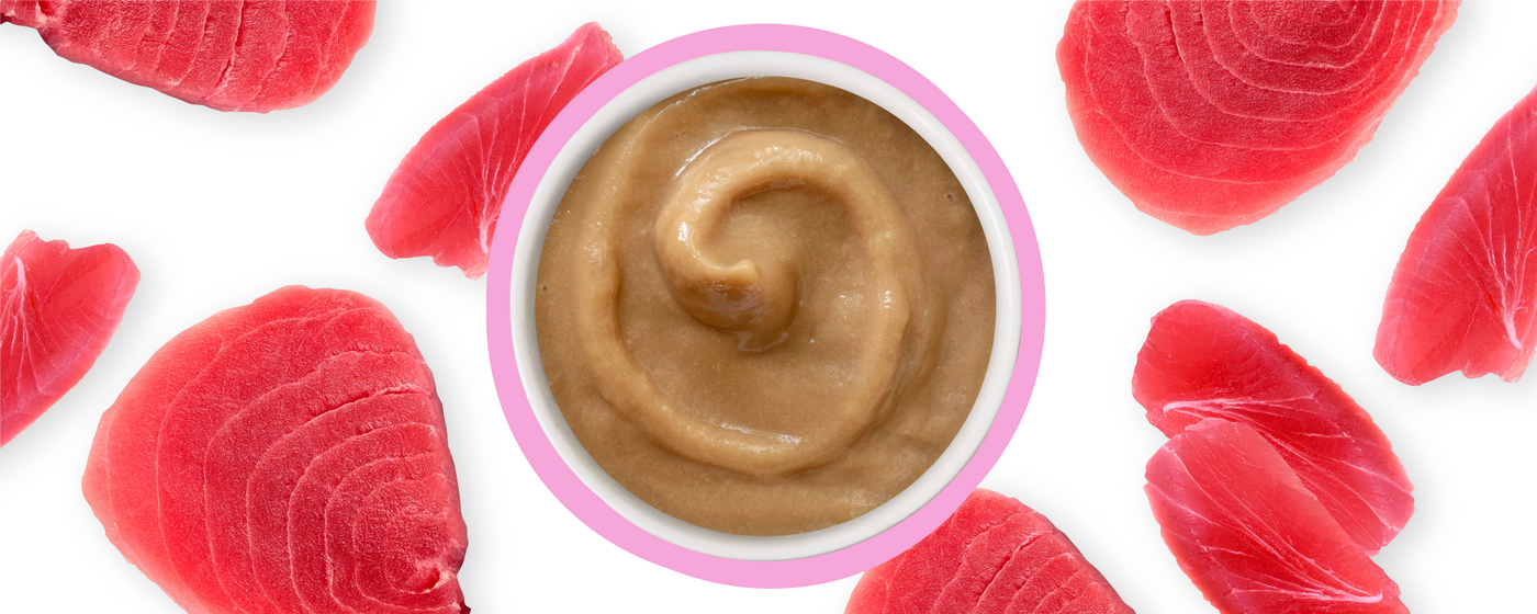 A bowl of creamy brown paste is surrounded by several pieces of raw pink tuna on a white background.