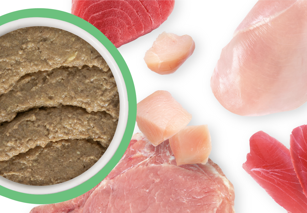 Food Bowl With Ingredients Used Scattered Around It