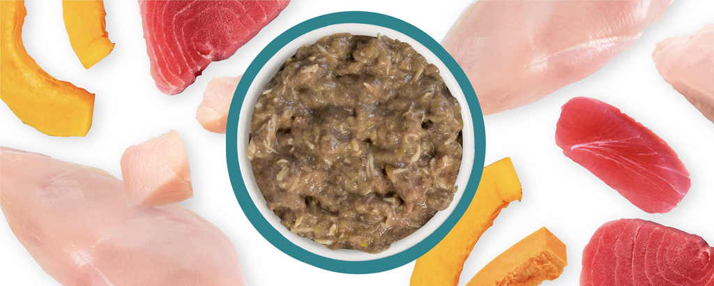 Funk in the trunk cat food hot sale