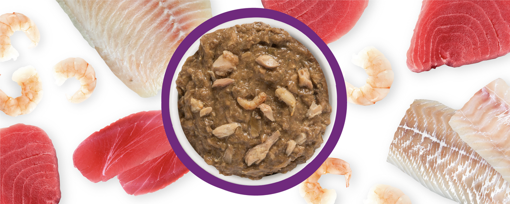 Weruva la isla sales bonita