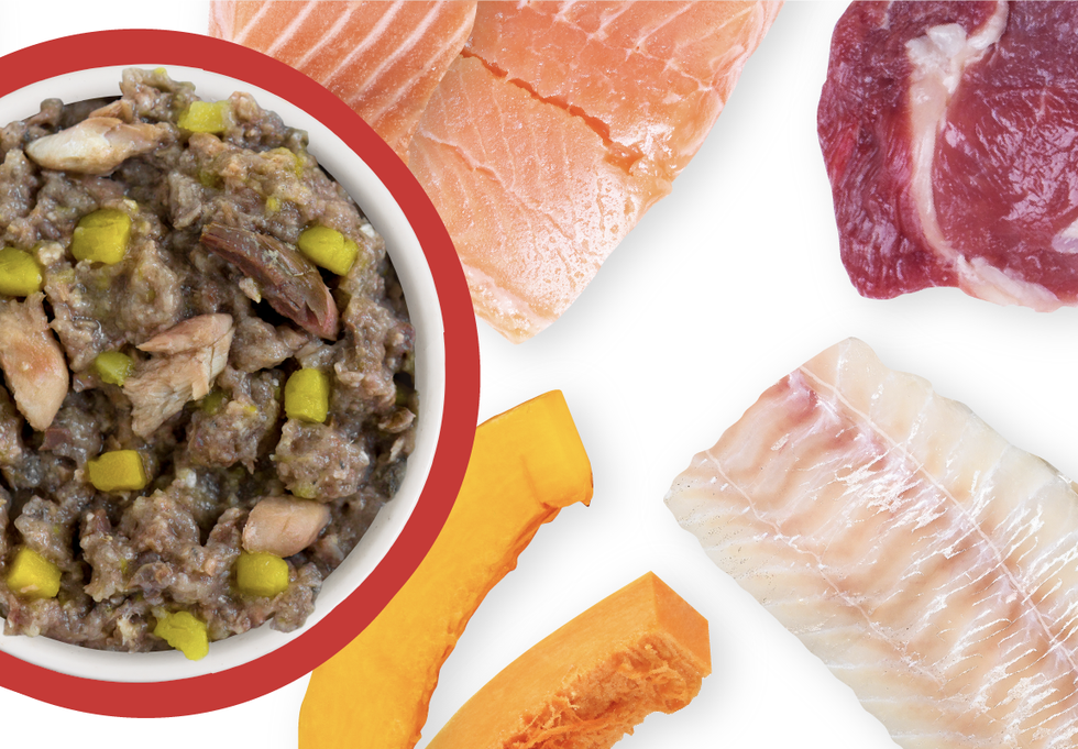 Food Bowl With Ingredients Used Scattered Around It