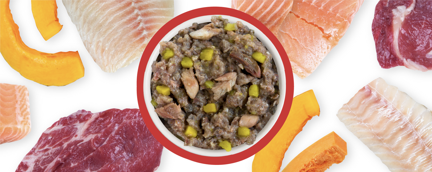 Food Bowl With Ingredients Used Scattered Around It