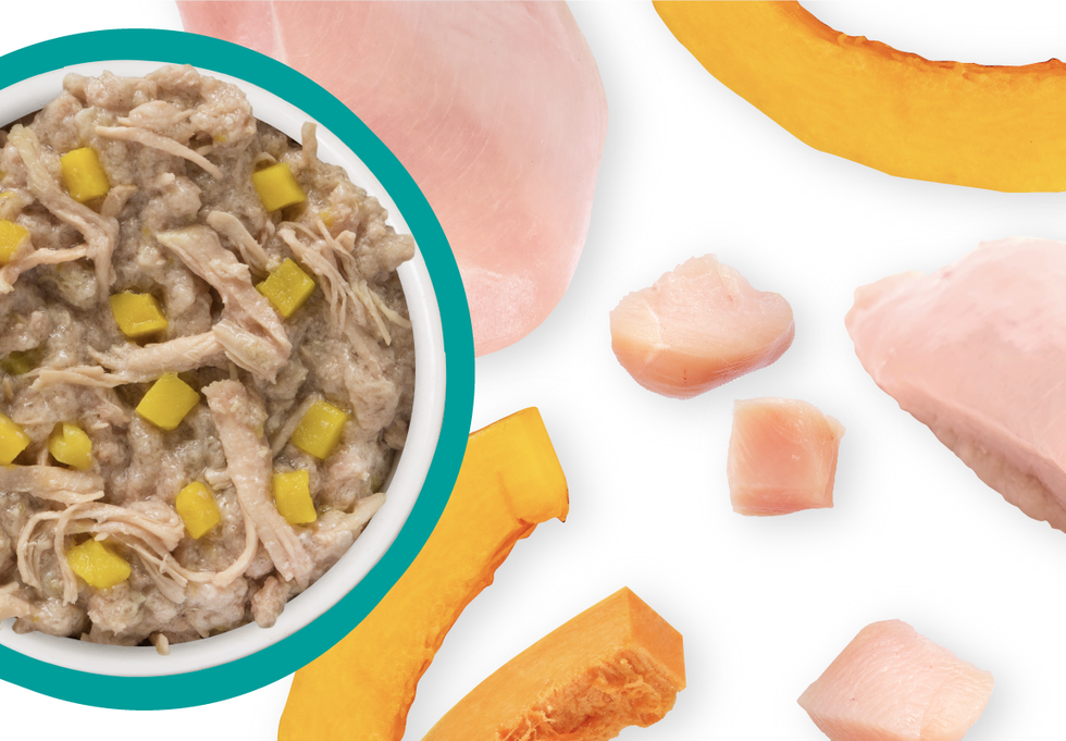 Food Bowl With Ingredients Used Scattered Around It