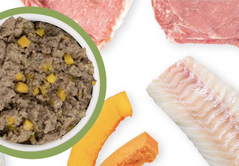 Food Bowl With Ingredients Used Scattered Around It