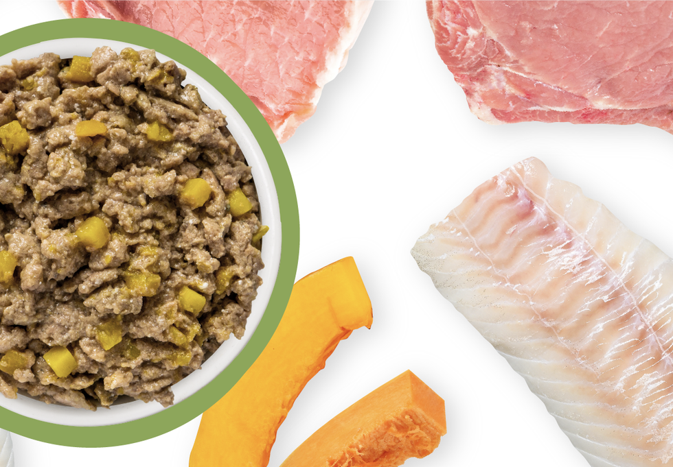 Food Bowl With Ingredients Used Scattered Around It