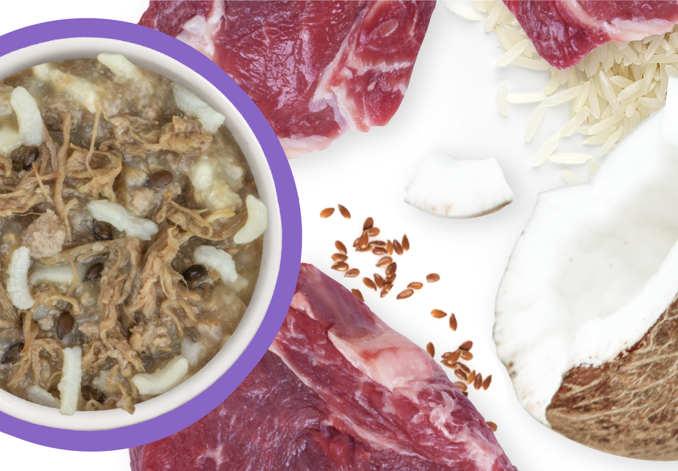 Food Bowl With Ingredients Used Scattered Around It