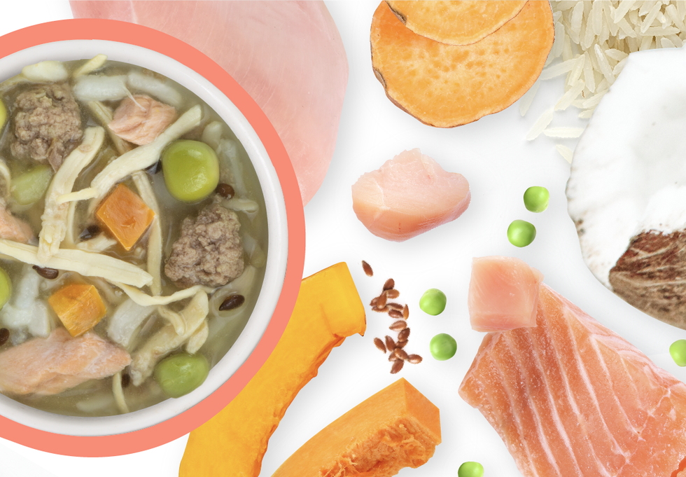 Food Bowl With Ingredients Used Scattered Around It