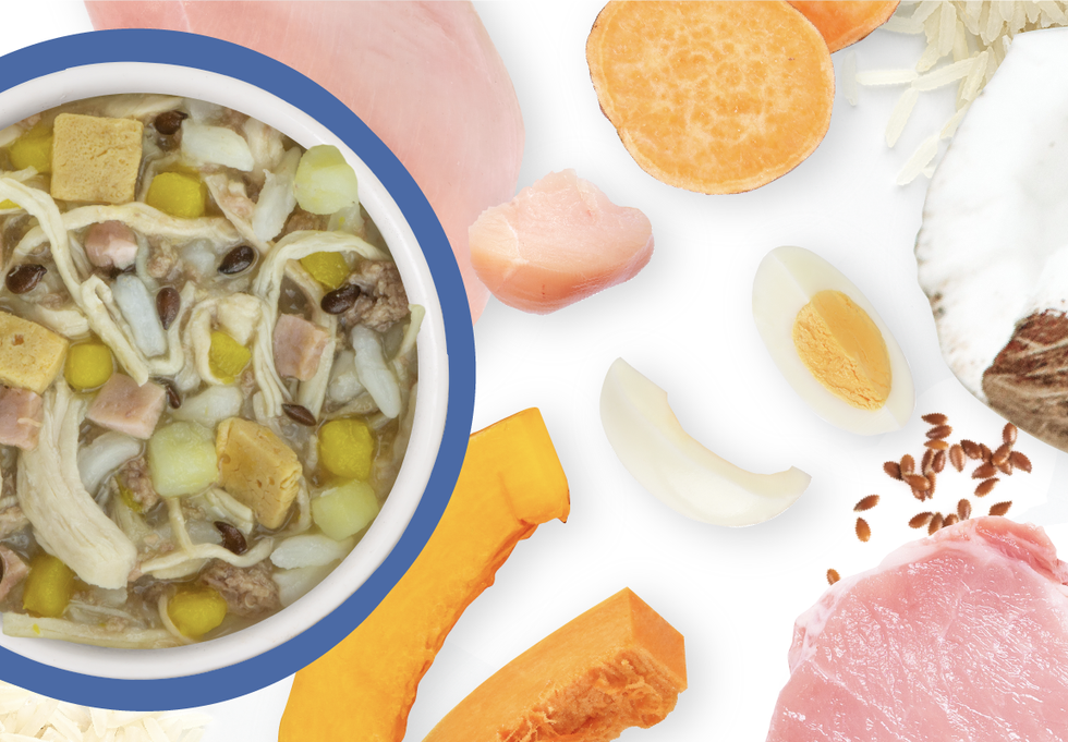 Food Bowl With Ingredients Used Scattered Around It