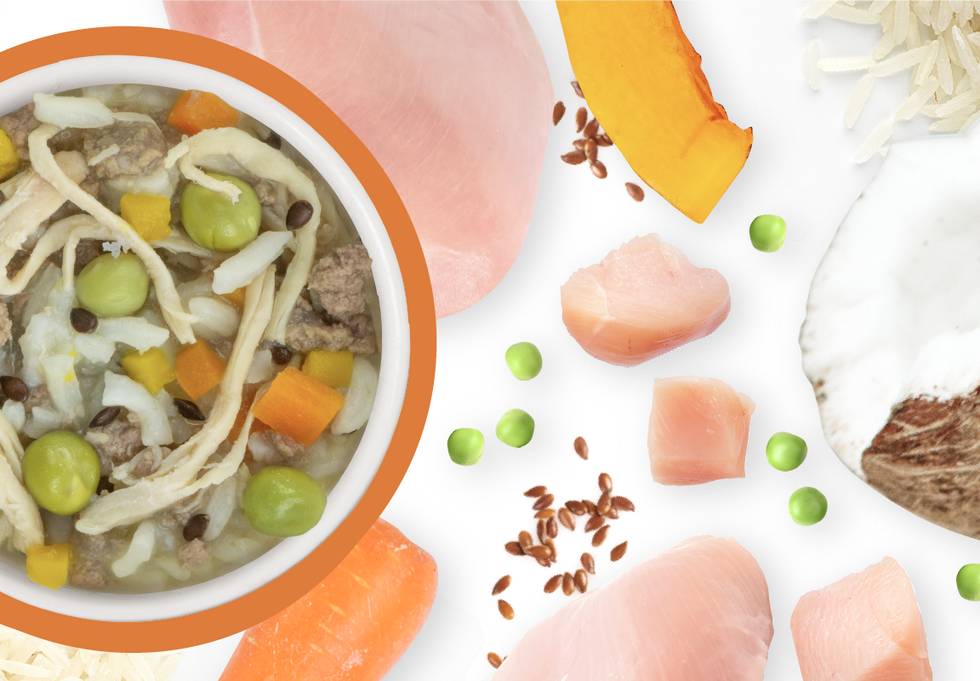 Food Bowl With Ingredients Used Scattered Around It