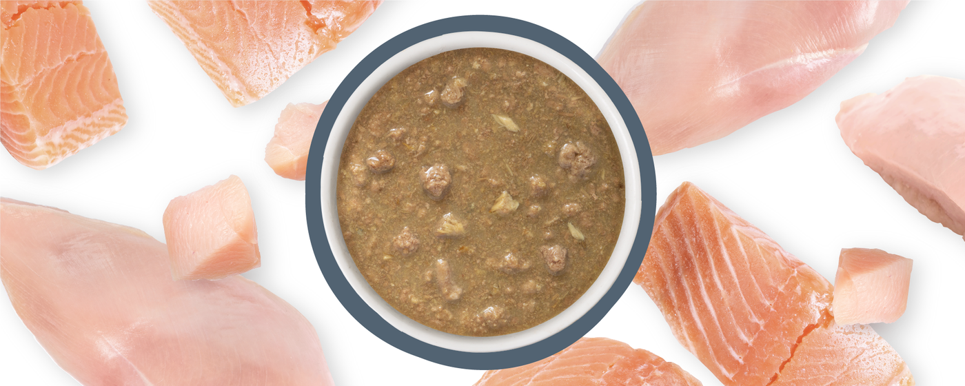 Food Bowl With Ingredients Used Scattered Around It