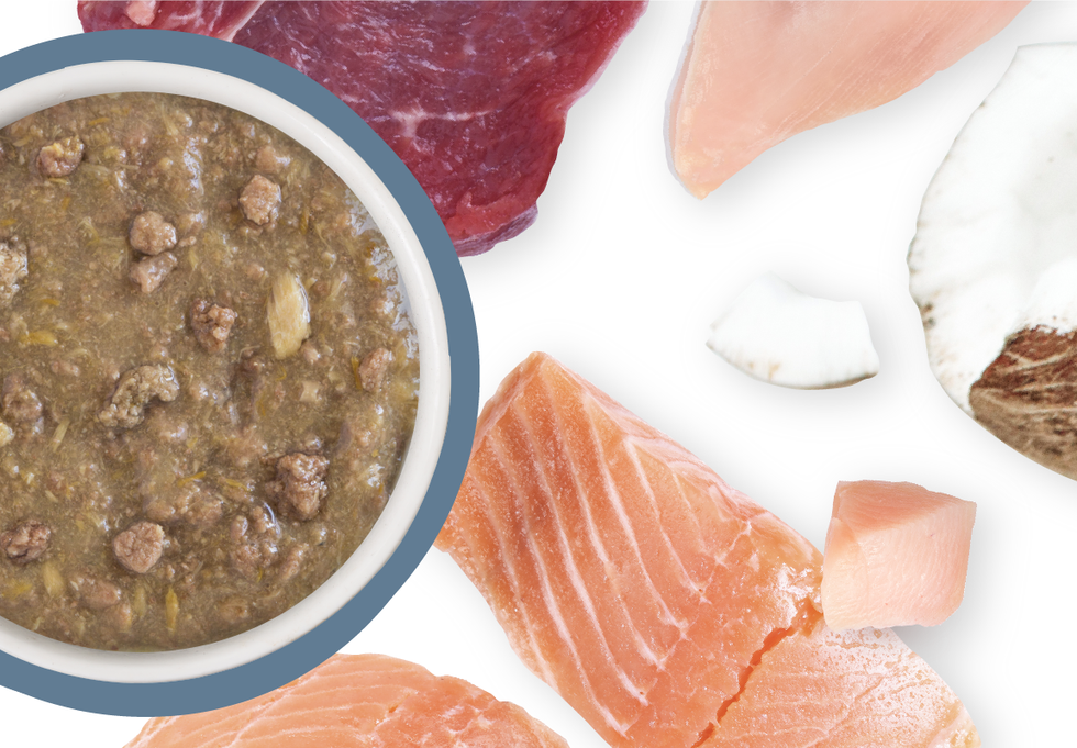 Food Bowl With Ingredients Used Scattered Around It