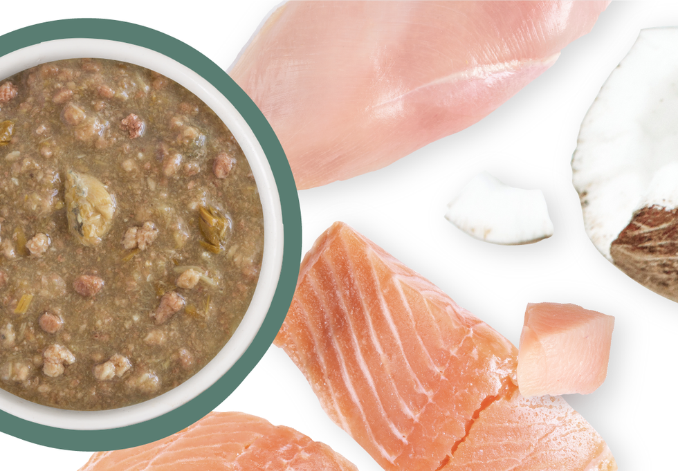 Food Bowl With Ingredients Used Scattered Around It