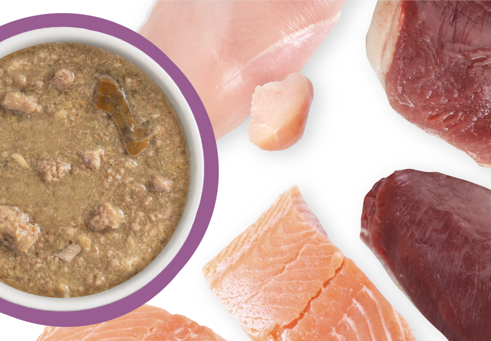 Food Bowl With Ingredients Used Scattered Around It