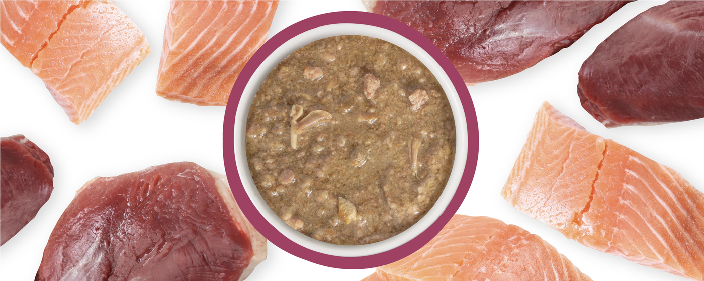 Food Bowl With Ingredients Used Scattered Around It