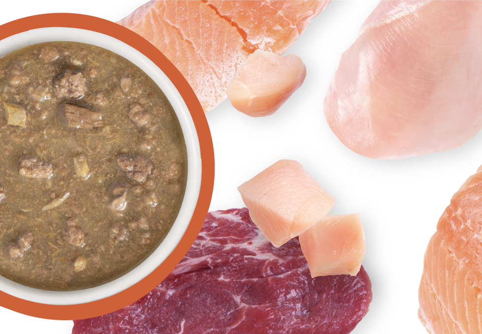 Food Bowl With Ingredients Used Scattered Around It