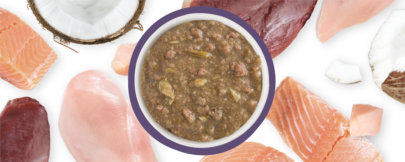 Food Bowl With Ingredients Used Scattered Around It