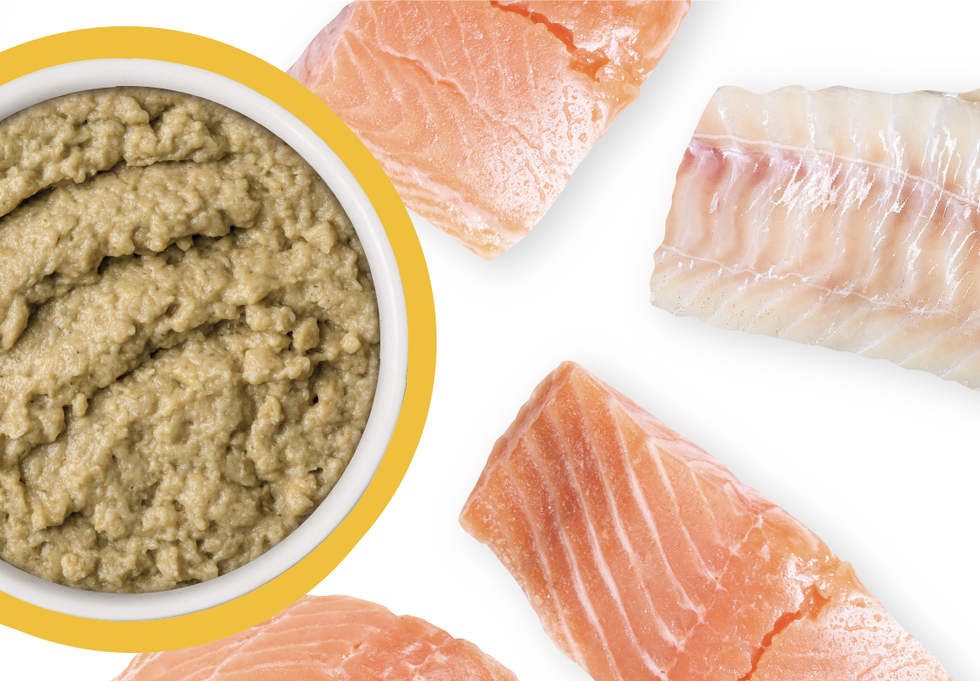 Food Bowl With Ingredients Used Scattered Around It