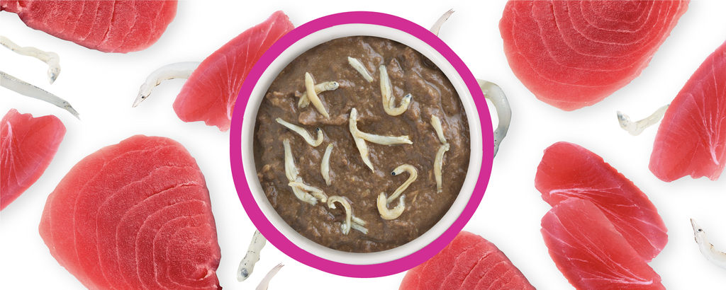 Weruva asian deals fusion