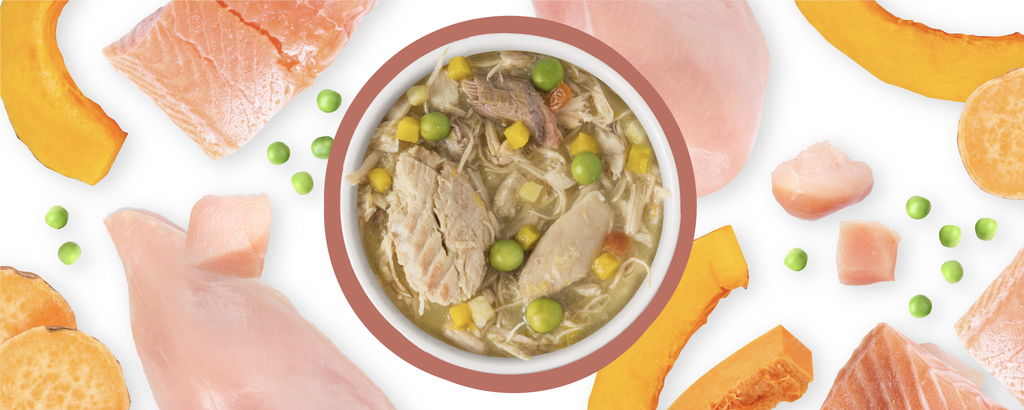 Weruva Classic Dog Jammin Salmon