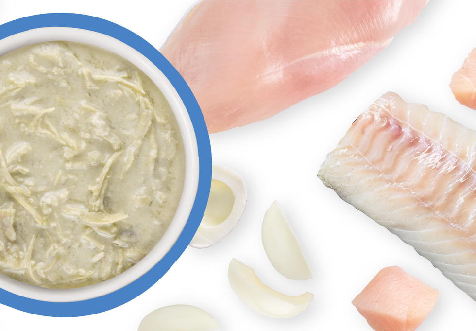 Food Bowl With Ingredients Used Scattered Around It