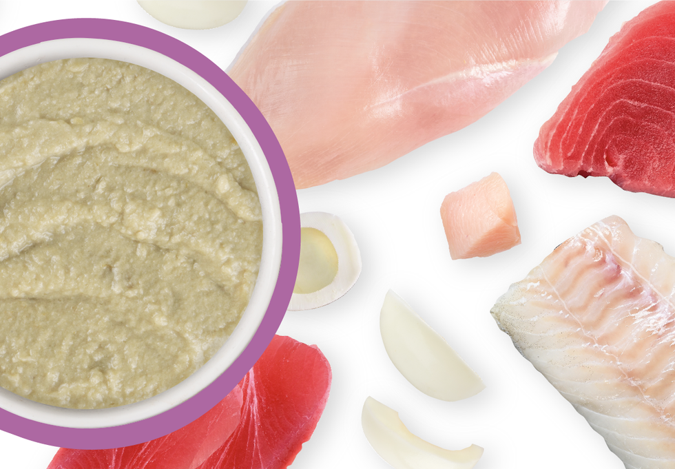 Food Bowl With Ingredients Used Scattered Around It
