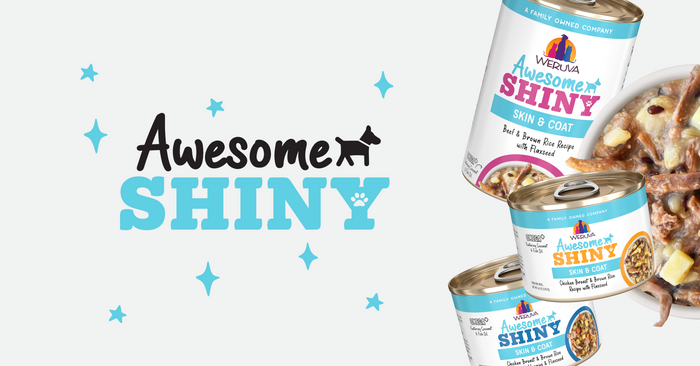 Three cans of Weruva Awesome Shiny Skin & Coat pet food are displayed beside the product logo, which features a black cat silhouette and blue paw print on a light background.