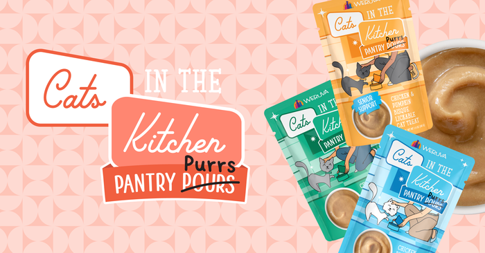 Three pouches of Weruva Cats in the Kitchen Pantry Purrs cat food are shown next to a bowl of creamy food, with the product logo and a geometric pink background.