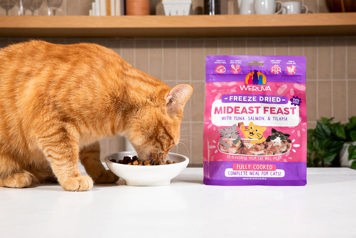 An orange tabby cat eats from a white bowl on a kitchen counter next to a purple bag of Weruva Freeze Dried Mideast Feast cat food. Shelves with dishes and plants are visible in the background.