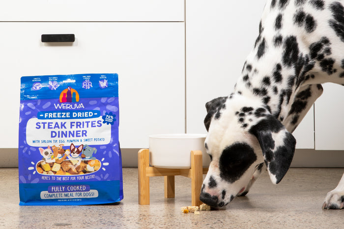 A Dalmatian eats food from the floor beside a white bowl and a Weruva Freeze Dried Steak Frites Dinner dog food bag in a kitchen with white cabinets and a speckled countertop.