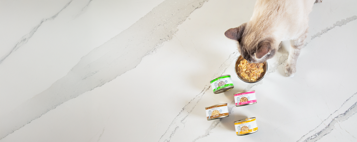 A cat eats from a bowl of wet food on a light marble floor, with four cans of cat food nearby, each with different colored labels.