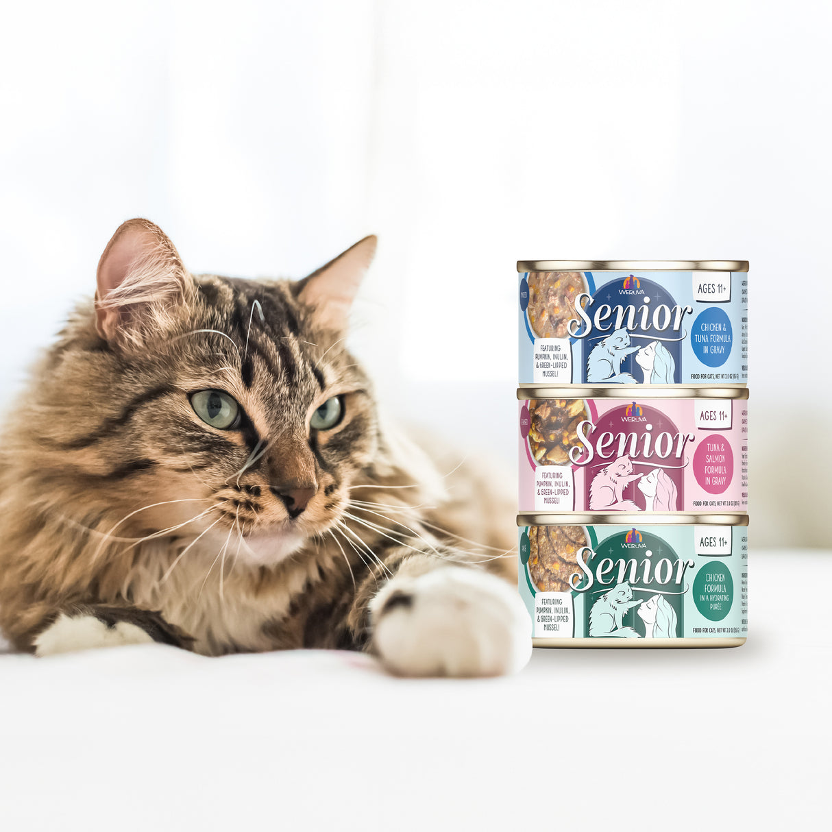 6522-Weruva-Cat-Senior-Brand-Images-Lifestyle.jpg