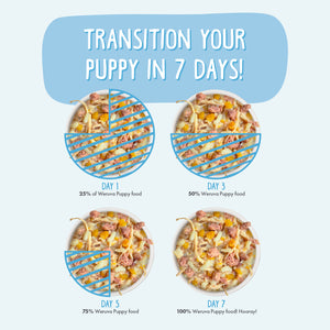 6737-Weruva-Puppy-Image-Set-Food-Transition.jpg