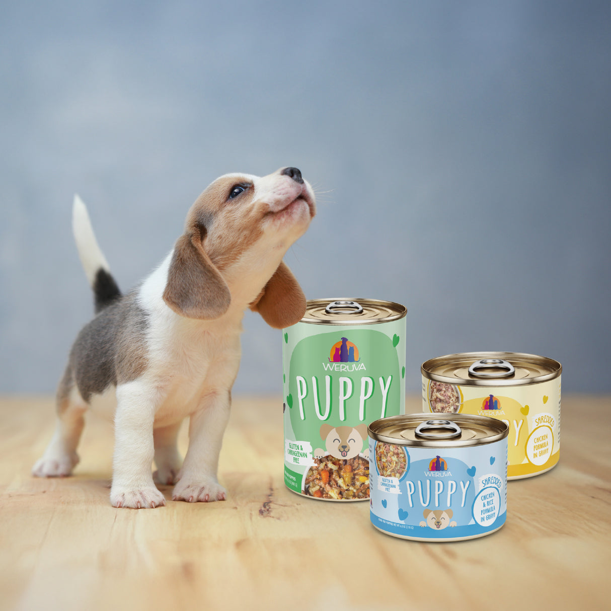 6737-Weruva-Puppy-Image-Set-Lifestyle.jpg