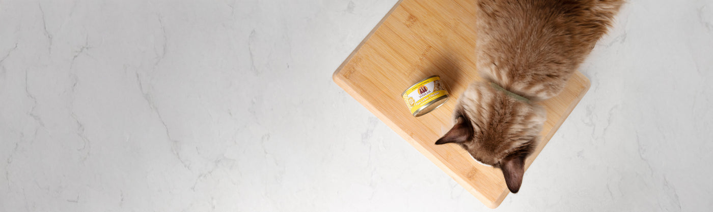 A brown and white cat on a wooden board looks at a can of cat food placed next to it, with a white marble background.