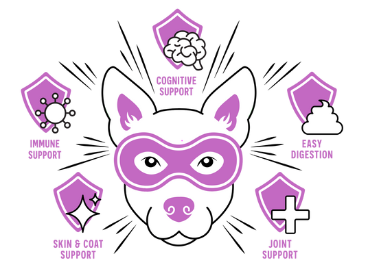 Illustration of a dog wearing a purple superhero mask, surrounded by five purple shields labeled: immune support, cognitive support, easy digestion, joint support, and skin & coat support.