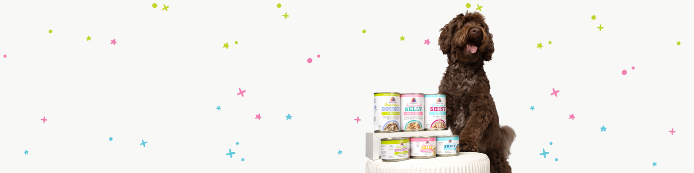 A brown curly-haired dog sits next to a stack of colorful canned pet food on a white stool, with pink, blue, and green star illustrations scattered on a white background.
