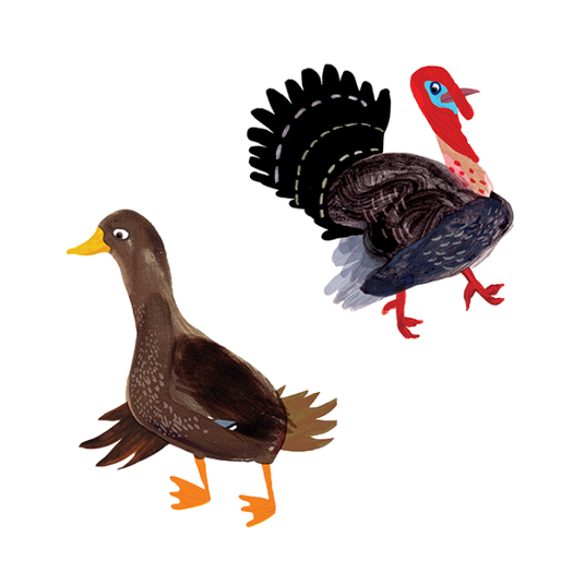 Duck and Turkey oil painting character