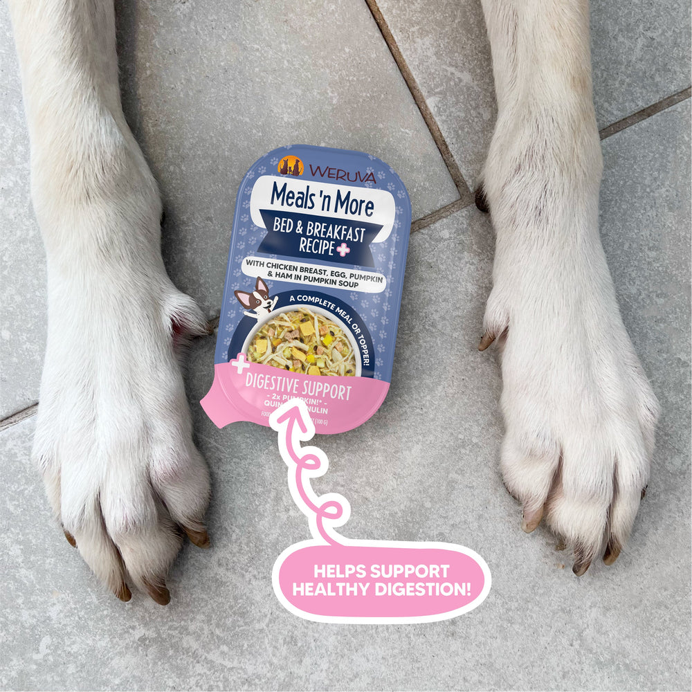 A dog’s front paws on a tiled floor frame a container of Weruva Bed and Breakfast Recipe Plus dog food, featuring boneless skinless chicken with a “Digestive Support” label and the note “Helps support healthy digestion!”.