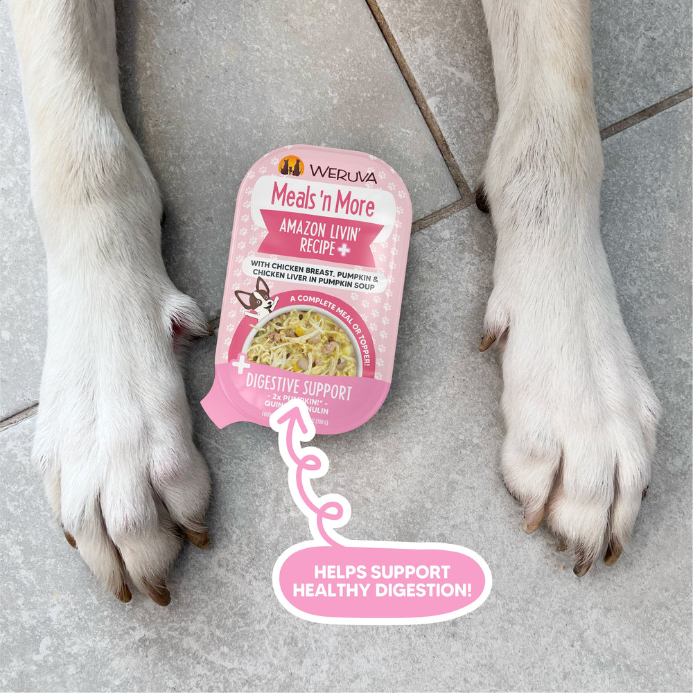 A packet of Weruva Amazon Livin' Recipe Plus dog food with boneless chicken and pumpkin lies between a dog's front paws on a tiled floor, highlighting digestive support and healthy digestion benefits.