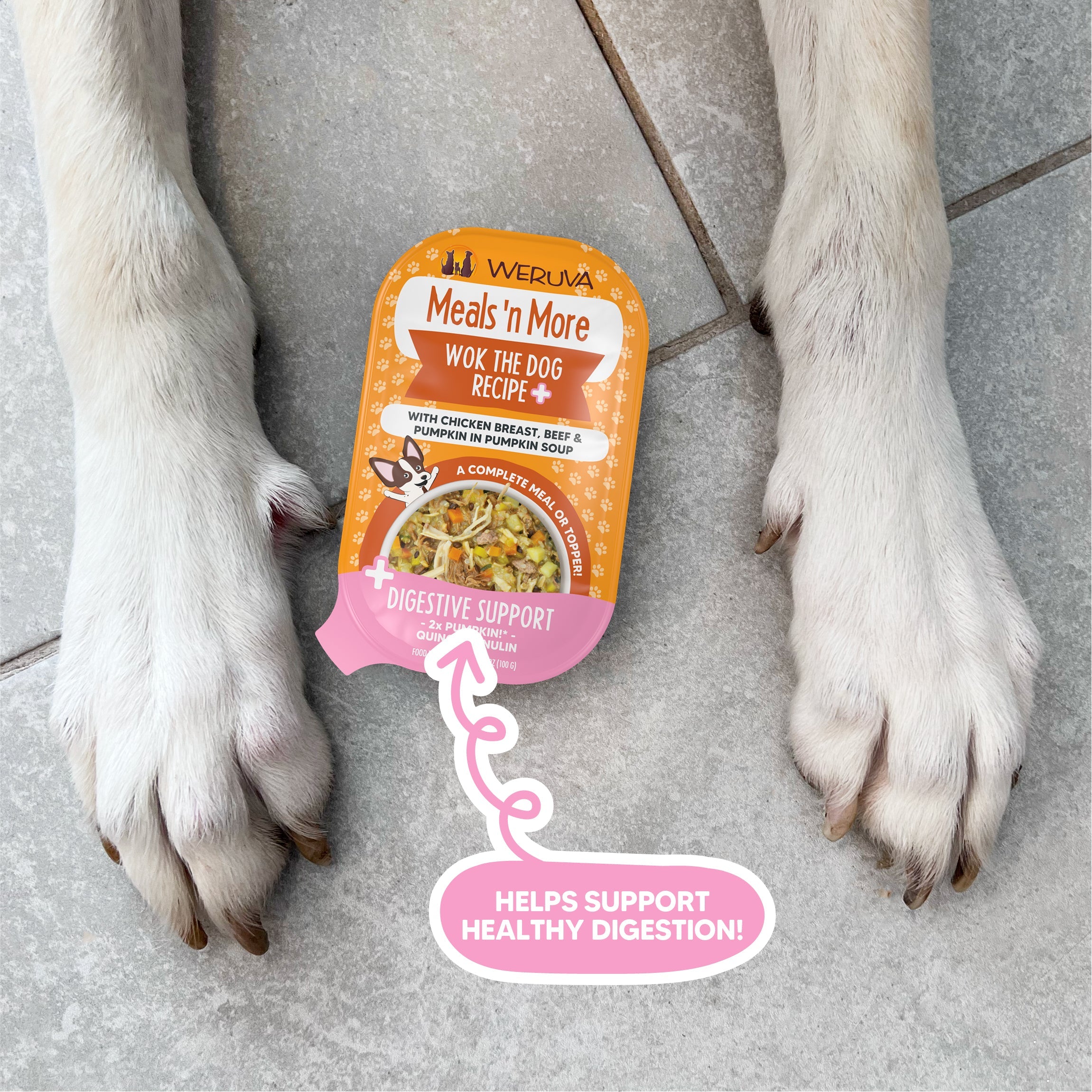 My dog ate spoiled chicken shop